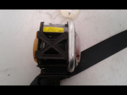 CEINTURE AVD