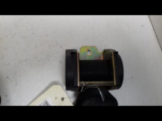CEINTURE AVD