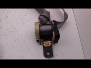 CEINTURE AVD