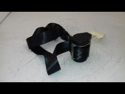 CEINTURE AVD