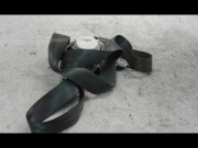 CEINTURE ARG