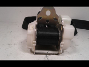CEINTURE ARG