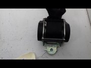 CEINTURE ARG