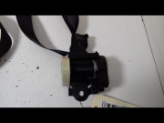 CEINTURE ARG