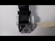 CEINTURE ARG