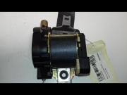 CEINTURE ARG