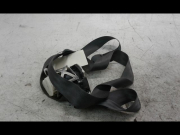 CEINTURE AVG