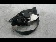 CEINTURE AVG