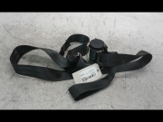 CEINTURE AVG