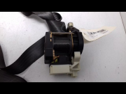 CEINTURE AVG