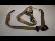 CEINTURE AVG