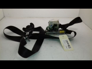 CEINTURE AVG
