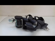 CEINTURE AVD