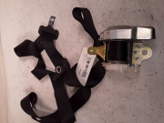 CEINTURE AVD