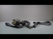 CEINTURE AVD