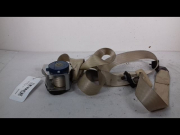 CEINTURE AVD