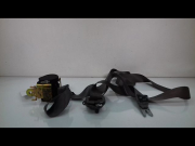 CEINTURE AVD