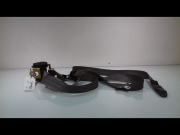 CEINTURE AVD