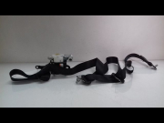 CEINTURE AVD