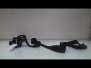 CEINTURE AVD