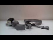 CEINTURE AVD