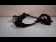 CEINTURE AVD