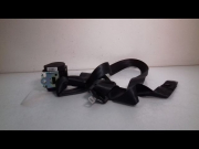 CEINTURE AVD
