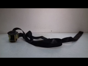 CEINTURE AVD