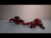 CEINTURE AVD