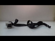 CEINTURE AVD