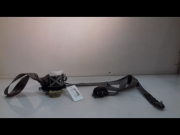 CEINTURE AVD