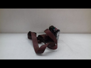 CEINTURE AVD