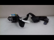 CEINTURE AVD