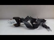 CEINTURE AVD