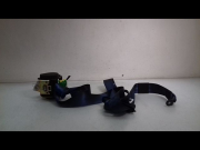 CEINTURE AVD
