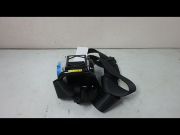 CEINTURE AVD