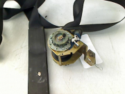 CEINTURE AVD