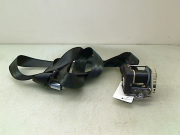 CEINTURE AVD