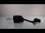 CEINTURE ARG