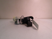CEINTURE ARG