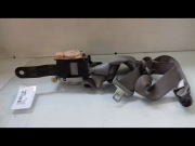 CEINTURE AVG
