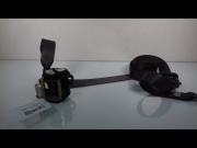 CEINTURE AVG