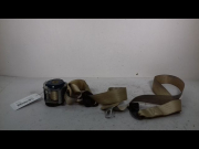 CEINTURE AVG
