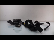 CEINTURE AVG
