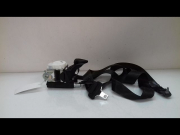 CEINTURE AVG