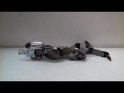 CEINTURE AVG