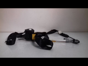 CEINTURE AVG