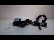 CEINTURE AVG