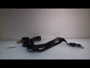 CEINTURE AVG