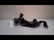 CEINTURE AVG
